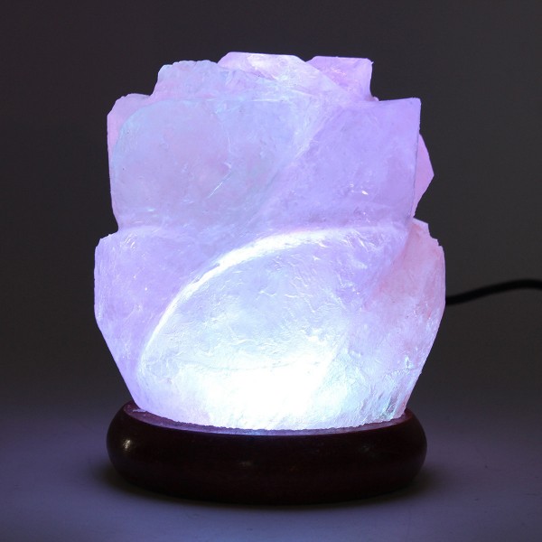 Himalayan Natural Crystal Rose Salt Lamps Bulb Night Light Ionic Purifier Gifts