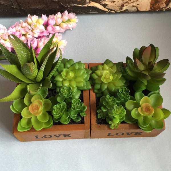 LOVE Wooden Basin Desktop Lotus Succulent Plants Flower Pot Garden  Bonsai