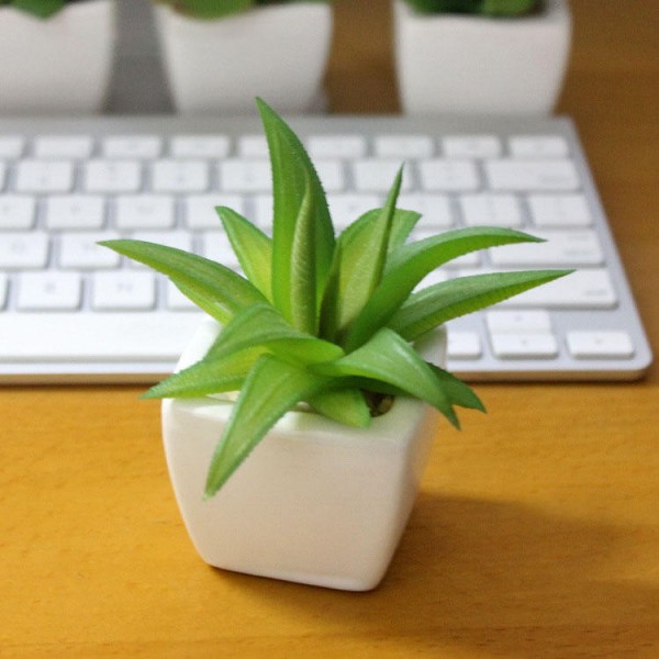 Simulation Mini Plant Small Potted Four Colors Optional