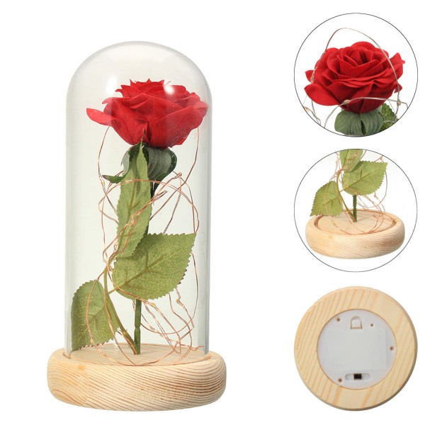 Red Rose Lights Decorations Beauty Enchanted Preserved Red Fresh Rose Glass Cover with LED Light