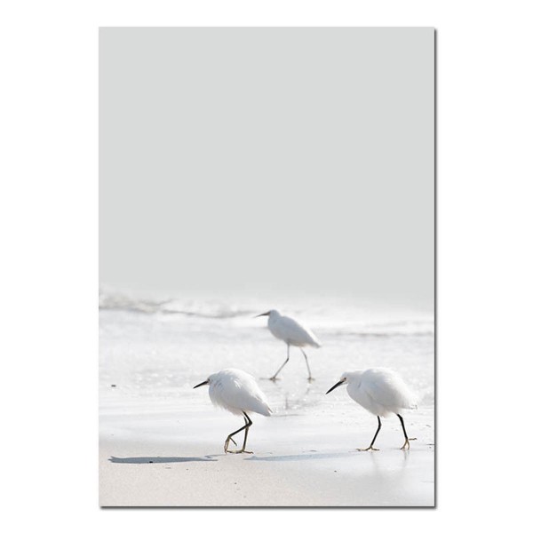 Sea Beach Landscape Nordic Poster Wall Art Canvas Prints Home Decorations Unframe